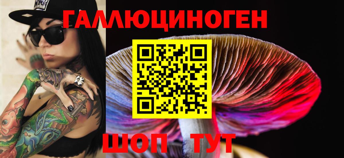 Псилоцибиновые грибы Cubensis  Псилоцибиновые грибы прущие грибы  Калининград  Вход с VPN 